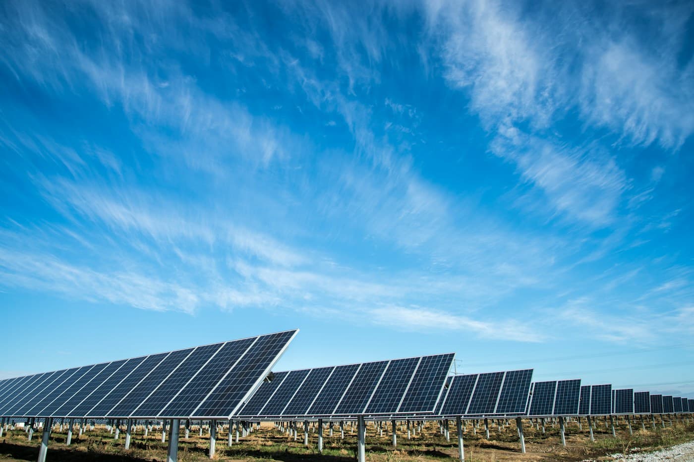 Solar panels beneath a clear blue sky